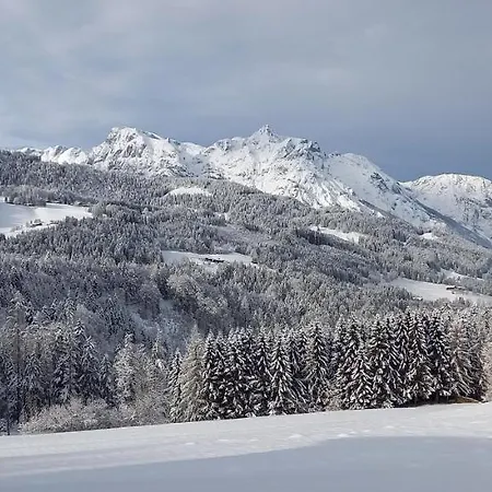 Winteraugut