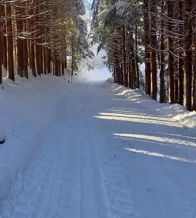 Appartamento Winteraugut Werfen