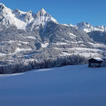 Winteraugut