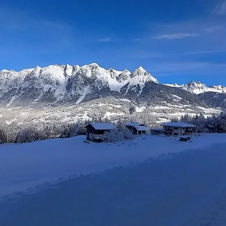 Winteraugut *
