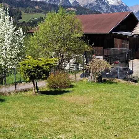 Winteraugut * Werfen