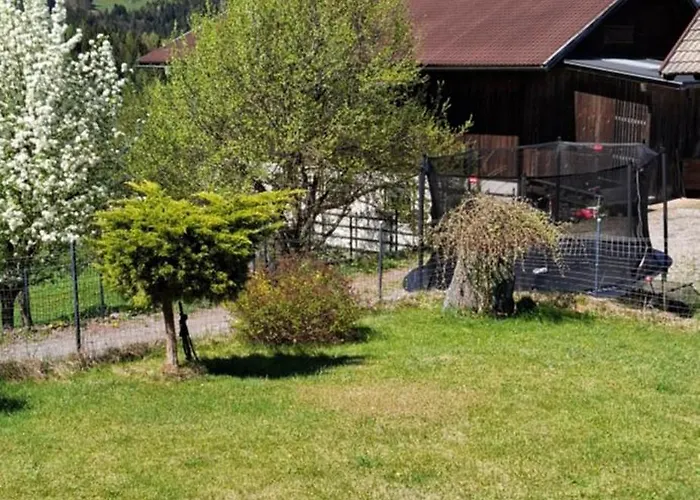 Winteraugut * Werfen